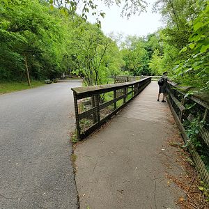 Oglebay Good Zoo - Wetlands