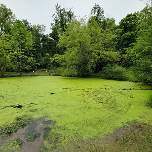 Oglebay Good Zoo - Wetlands, wild area