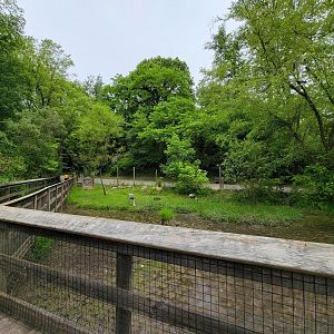 Oglebay Good Zoo - Wetlands, White-naped crane