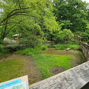 Oglebay Good Zoo - Wetlands, White-naped crane