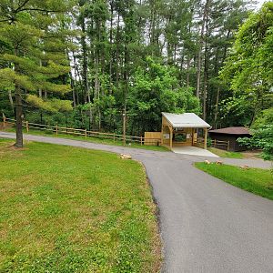 Oglebay Good Zoo - Red wolves, yard 1