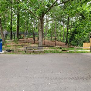 Oglebay Good Zoo - Red wolves, yard 2