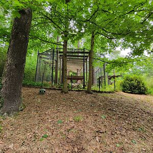 Oglebay Good Zoo - Snow leopard