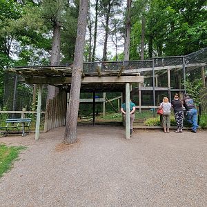 Oglebay Good Zoo - Snow leopard