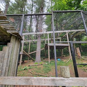 Oglebay Good Zoo - Snow leopard