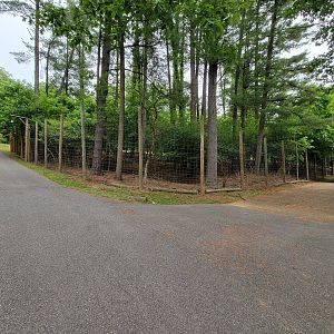 Oglebay Good Zoo - Central Chinese Goral yard