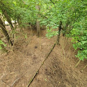 Oglebay Good Zoo - Central Chinese Goral yard (and the male's uneaten food)
