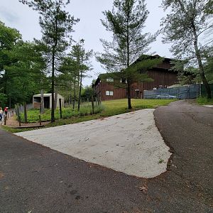 Oglebay Good Zoo - Patagonian mara