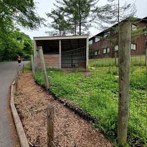 Oglebay Good Zoo - Patagonian mara