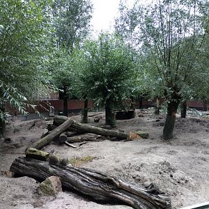 Zebra mongoose and porcupine enclosure