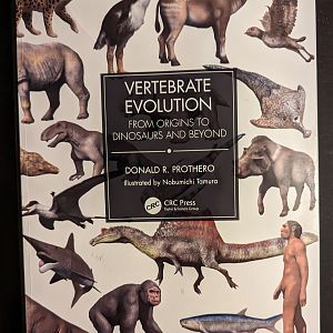 Vertebrate Evolution: From Origins to Dinosaurs and Beyond