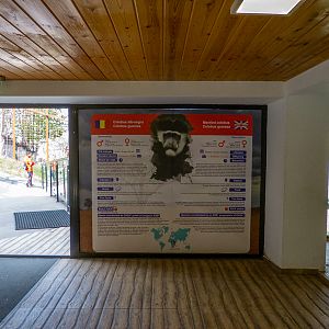 indoor enclosures monkey