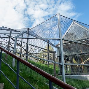 enclosure of lion-tailed macaque