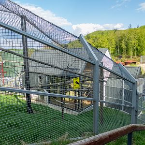 enclosure of lion-tailed macaque