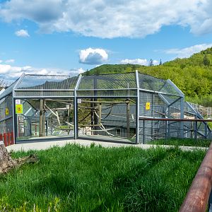 enclosure of lion-tailed macaque