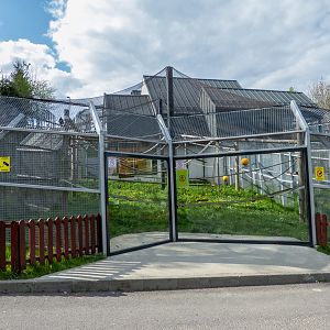 enclosure of capuchin monkeys