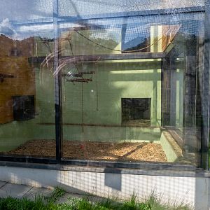 enclosure of capuchin monkeys