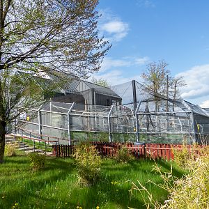 enclosure of capuchin monkeys
