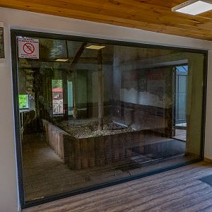 indoor enclosure mantled guereza