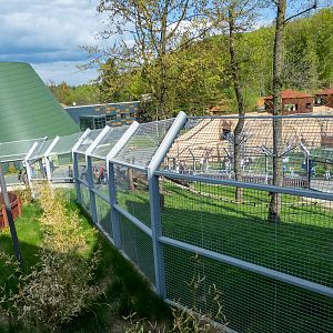 enclosure of mantled guereza