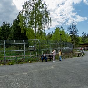 enclosure of brown bears #1