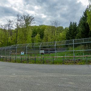 enclosure of brown bears #1