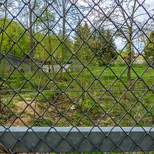 enclosure of brown bears #1