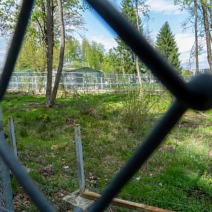 enclosure of brown bears #2