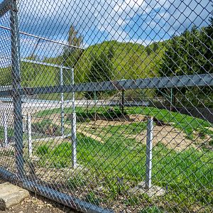 enclosure of brown bears #3 (in front a grass pre-enclosure)