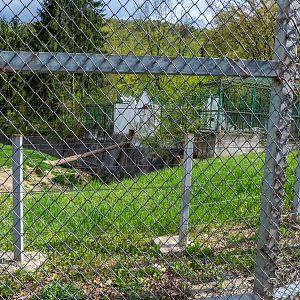 enclosure of brown bears #3 (in front a grass pre-enclosure)