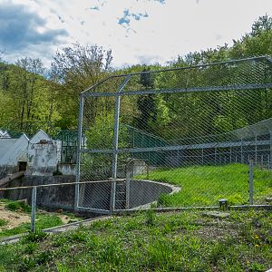 grass pre-enclosure of brown bear