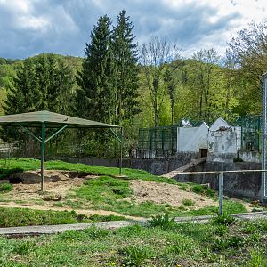 enclosure of brown bears #3