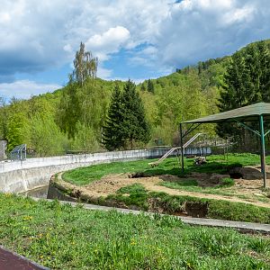enclosure of brown bears #3