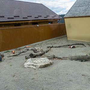 enclosure of meerkat