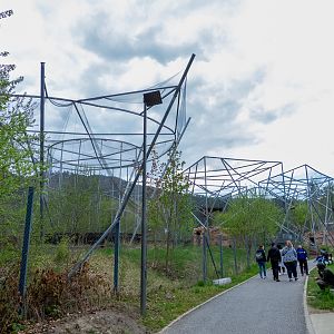 enclosures of birds of prey