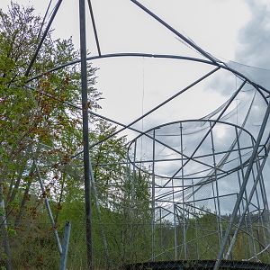 enclosures of birds of prey