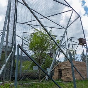 enclosures of birds of prey