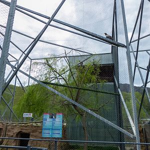 enclosures of birds of prey