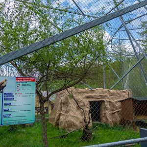 enclosures of birds of prey