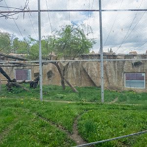 enclosures of jaguar