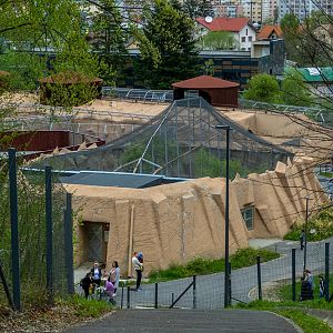 enclosures of jaguar