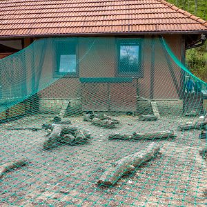 enclosure of rabbits