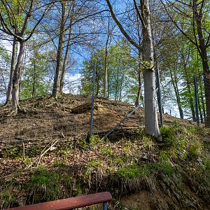 enclosure of red deer