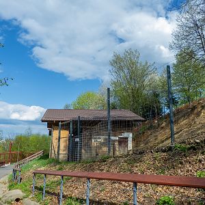 enclosure of red deer