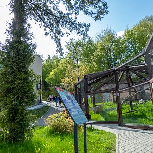 enclosure of ring-tailed lemurs