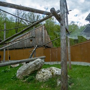 enclosure of red panda