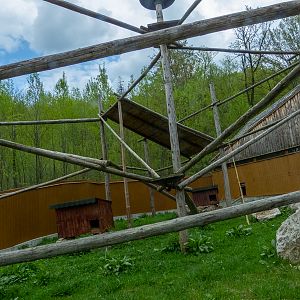 enclosure of red panda