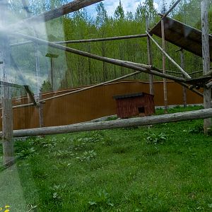 enclosure of red panda