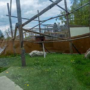 enclosure of red panda