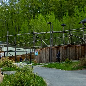 enclosure of red panda